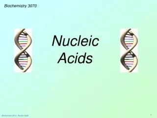 Nucleic Acids