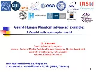 Gean4 Human Phantom advanced example: A Geant4 anthropomorphic model