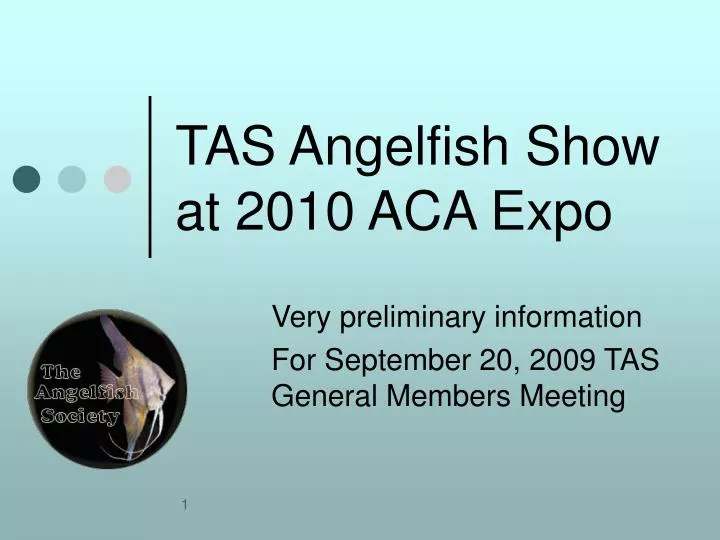 tas angelfish show at 2010 aca expo
