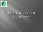 ORMANCILIKTA GDO - slide 1
