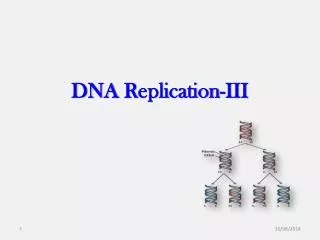 DNA R eplication -III