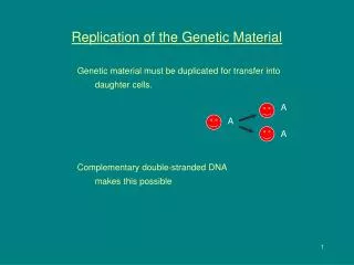 Replication of the Genetic Material