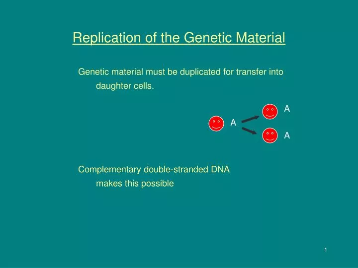 replication of the genetic material