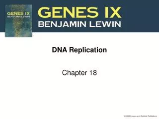 DNA Replication