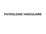 PATHOLOGIE VASCULAIRE - slide 1
