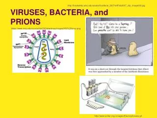 VIRUSES, BACTERIA, and PRIONS