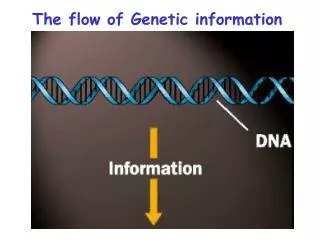 The flow of Genetic information