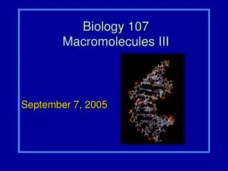 Biology 107 Macromolecules III