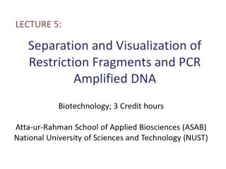 separation and visualization of restriction fragments and pcr amplified dna