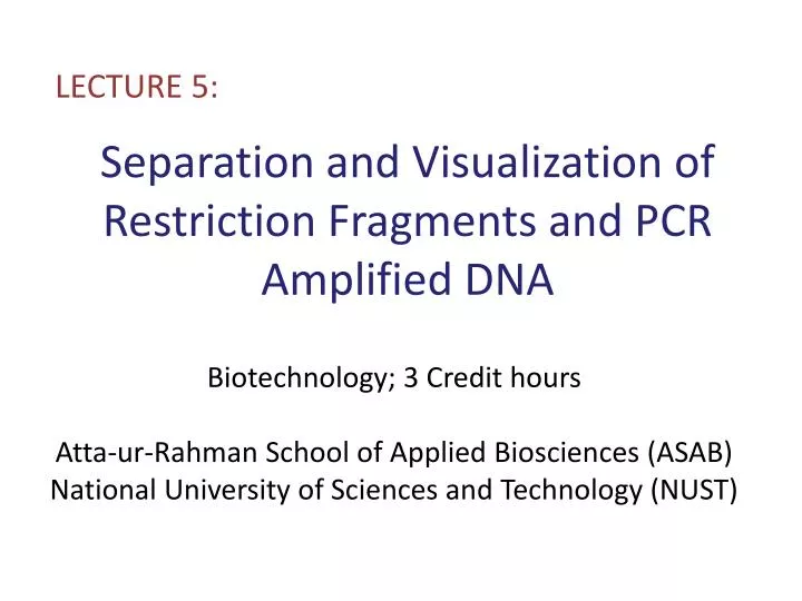 separation and visualization of restriction fragments and pcr amplified dna