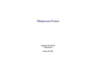 Minigenome Project Jingdong Tian, Ph.D. Church Lab March 20, 2003