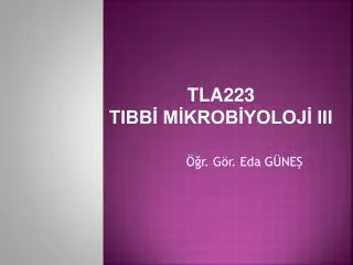 tla223 tibb m krob yoloj iii
