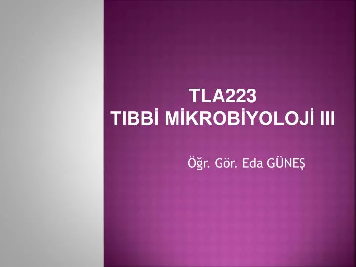tla223 tibb m krob yoloj iii