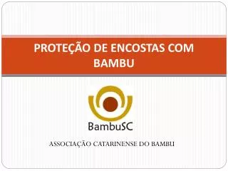 prote o de encostas com bambu