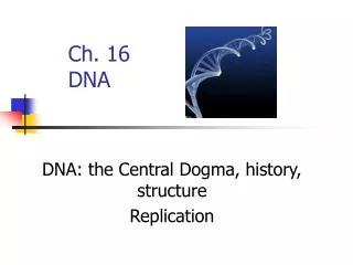 Ch. 16 DNA