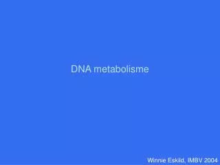 dna metabolisme