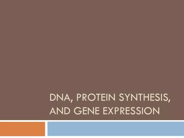 dna protein synthesis and gene expression