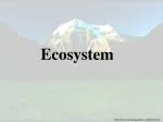 Ecosystem - slide 1