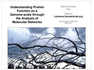 Understanding Protein Function on a Genome-scale through the Analysis of Molecular Networks