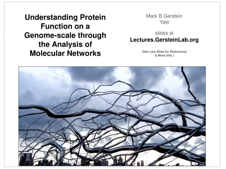 understanding protein function on a genome scale through the analysis of molecular networks