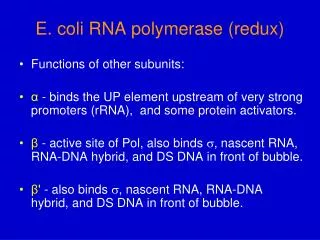 E. coli RNA polymerase (redux)