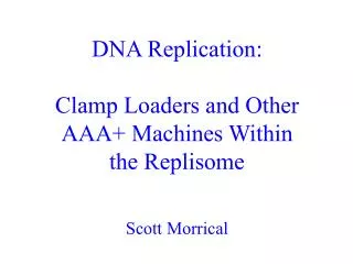 DNA Replication: Clamp Loaders and Other AAA+ Machines Within the Replisome Scott Morrical