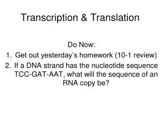 Transcription &amp; Translation