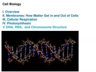 Cell Biology I. Overview II. Membranes: How Matter Get in and Out of Cells