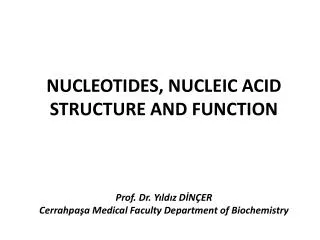 Nucleotides contain; Base + sugar + phosphoryl group