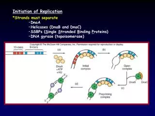 Initiation of Replication