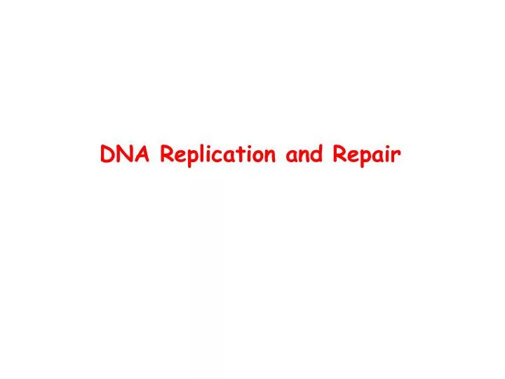 dna replication and repair