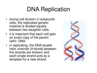 dna replication