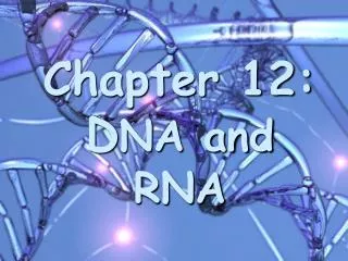 Chapter 12: D NA and RNA