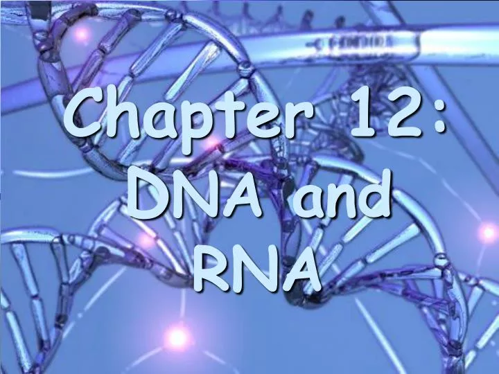 chapter 12 d na and rna