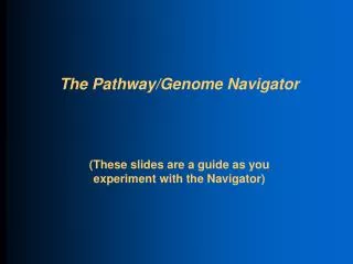 The Pathway/Genome Navigator