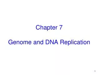 Chapter 7 Genome and DNA Replication