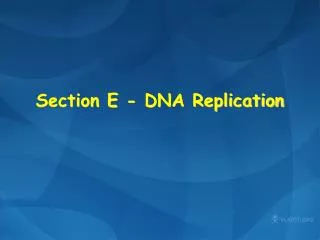 Section E - DNA Replication