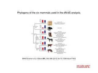 MAM Groenen et al. Nature 491 , 393-398 (2012) doi:10.1038/nature11622