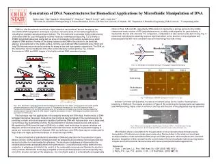 Generation of DNA Nanostructures for Biomedical Applications by Microfluidic Manipulation of DNA