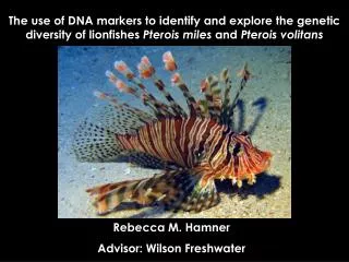 Rebecca M. Hamner Advisor: Wilson Freshwater