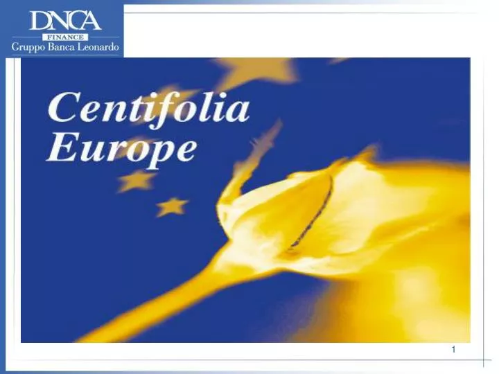 centifolia europe