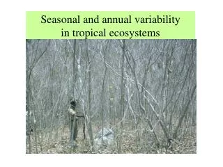 Seasonal and annual variability in tropical ecosystems