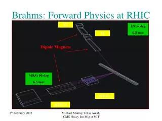 Brahms: Forward Physics at RHIC