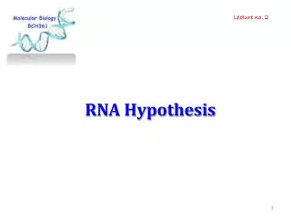 RNA Hypothesis