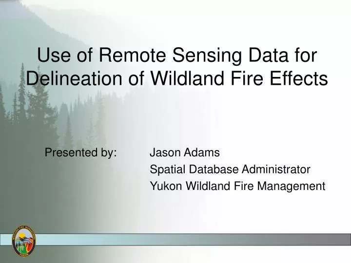 use of remote sensing data for delineation of wildland fire effects