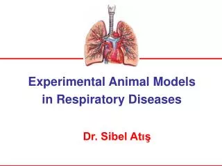 Experimental Animal Model s in Respiratory Diseases