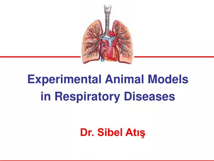 experimental animal model s in respiratory diseases