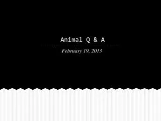 Animal Q &amp; A