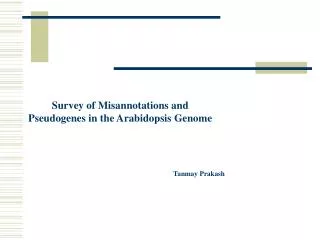 Survey of Misannotations and Pseudogenes in the Arabidopsis Genome
