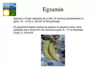 egzamin